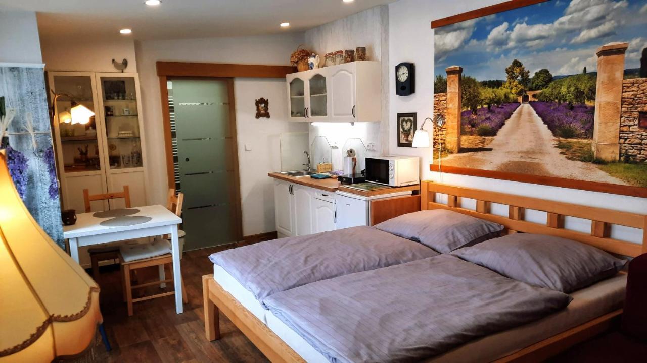 Apartman Za Kopcem Boskovice Exteriör bild