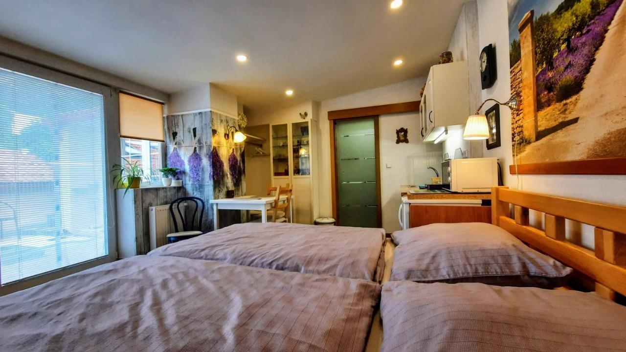 Apartman Za Kopcem Boskovice Exteriör bild