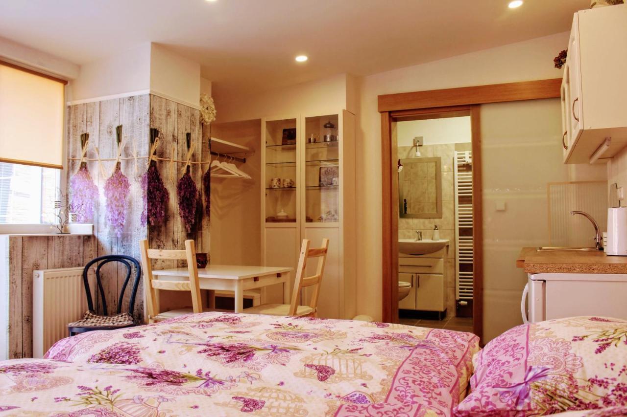 Apartman Za Kopcem Boskovice Exteriör bild